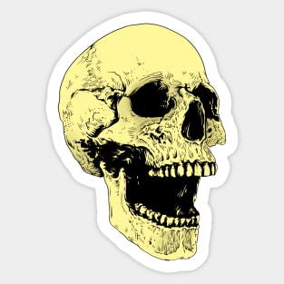 Skull Sticker